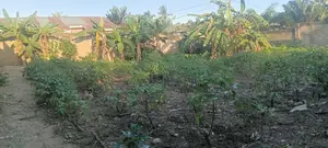 Land for Sale - Fetteh Kakraba, Gomoa East