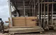 Roofing Timber - Hard & Quality Woods - 4