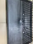 Heavy Duty Dog Cage - 2