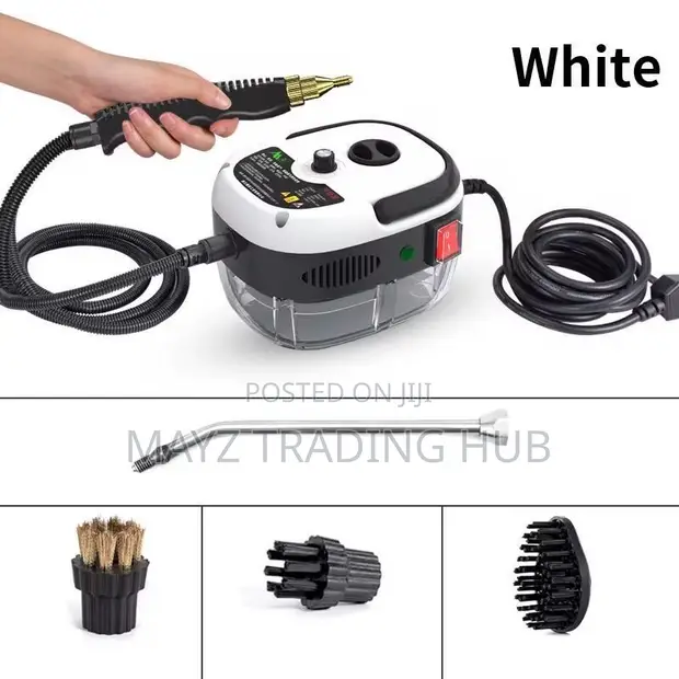 Portable Steam Cleaner - 1