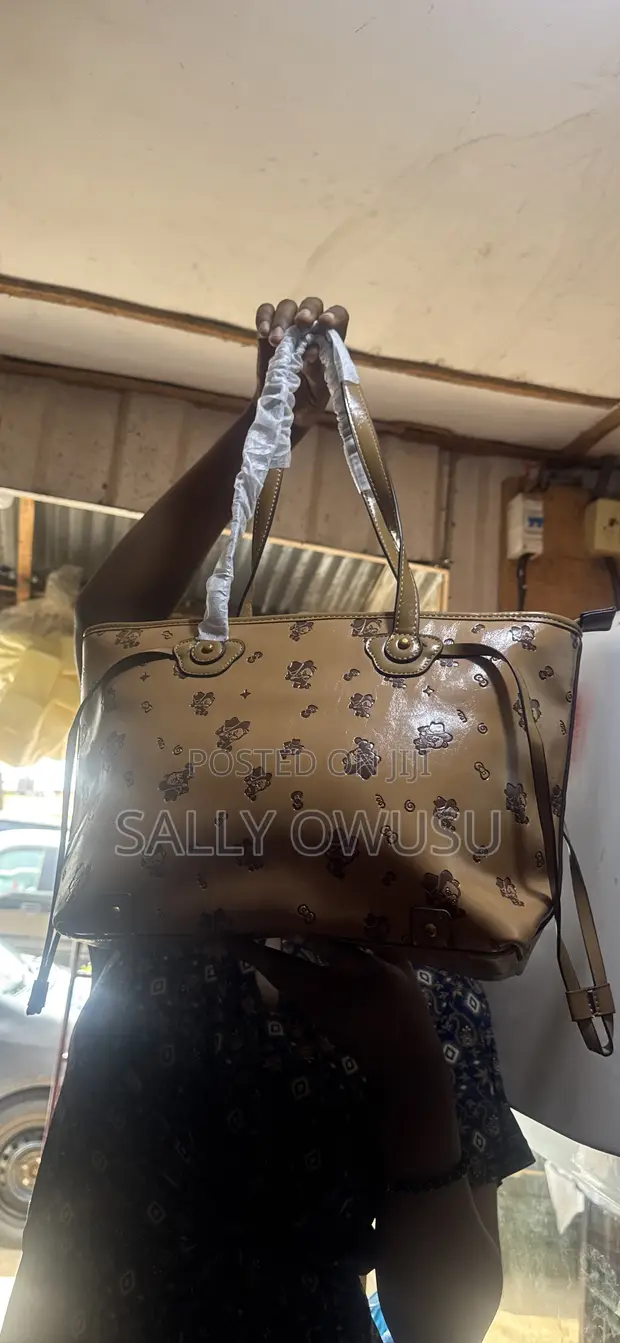 Goyard Tote Bag - Brand New Leather - 1