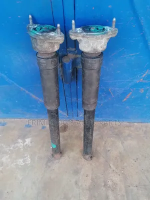 Mercedes-Benz W204 C250 2012 Rear Shock Absorbers