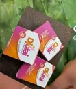 Djolai Capsules for Menstrual & Reproductive Wellness - 4