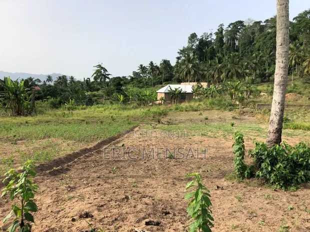 Commercial Land for Sale - Bawjiase - 1