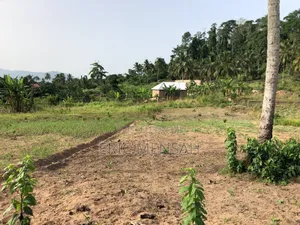 Commercial Land for Sale - Bawjiase