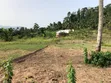 Commercial Land for Sale - Bawjiase - 1