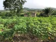 Commercial Land for Sale - Bawjiase - 2