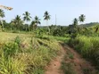 Commercial Land for Sale - Bawjiase - 5