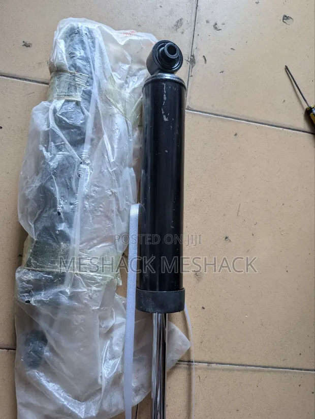 Hyundai Palisade Rear Shock Absorber - Brand New - 1