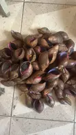 Ginger and Snails - 2
