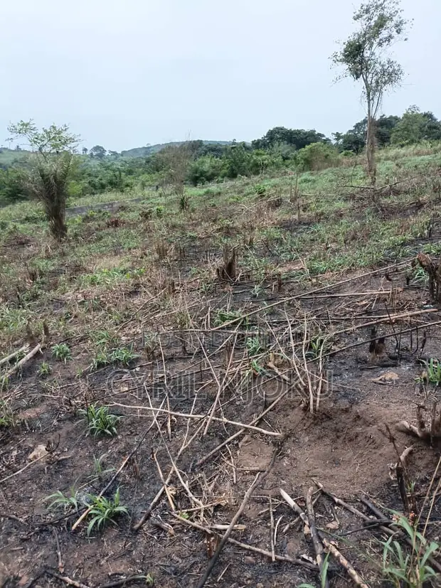 Plot of Land for Sale in Aburi Tutu - 1