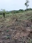Plot of Land for Sale in Aburi Tutu - 1