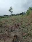 Plot of Land for Sale in Aburi Tutu - 2