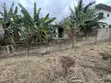 54ft x 100ft Residential Land for Sale at Oyarifa - 5