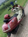 Yamaha Majesty 2016 - 2