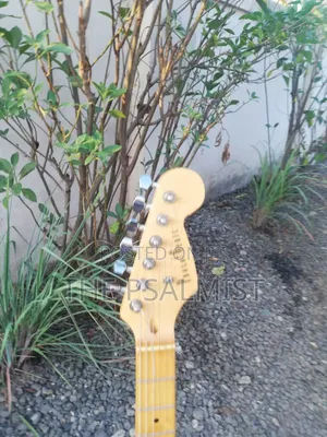 Photogenic Black Stratocaster-Style Electric Guitar