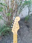 Photogenic Black Stratocaster-Style Electric Guitar - 1