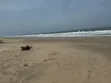 Kokrobite Beachfront Land - 2 Plots - 3