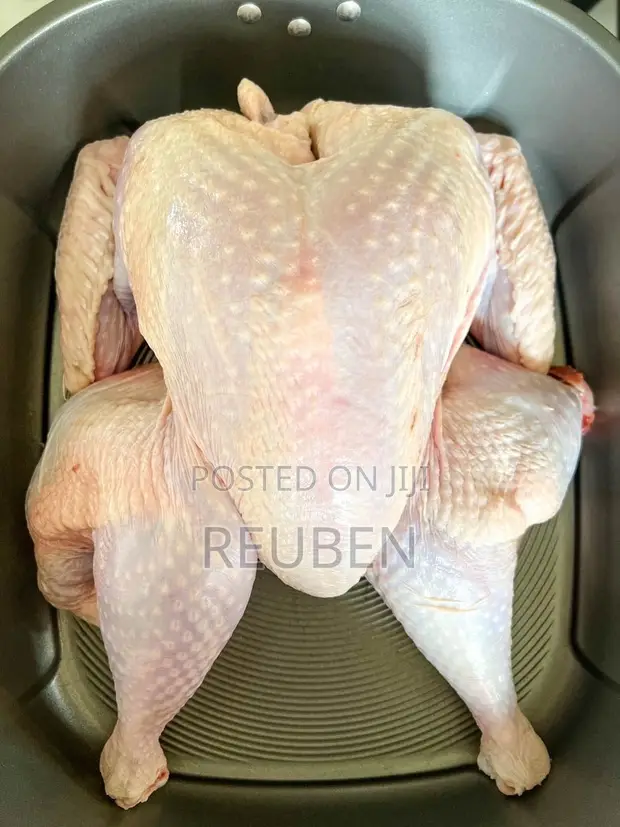 Fresh Dressed Broilers for Sale (Per Kg) - 1