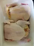 Fresh Dressed Broilers for Sale (Per Kg) - 2