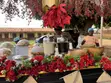 Wedding Decorations by Perpetual Deco and Fashion - 3