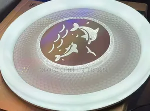 Brand New Ceiling Light with Color Changing Feature