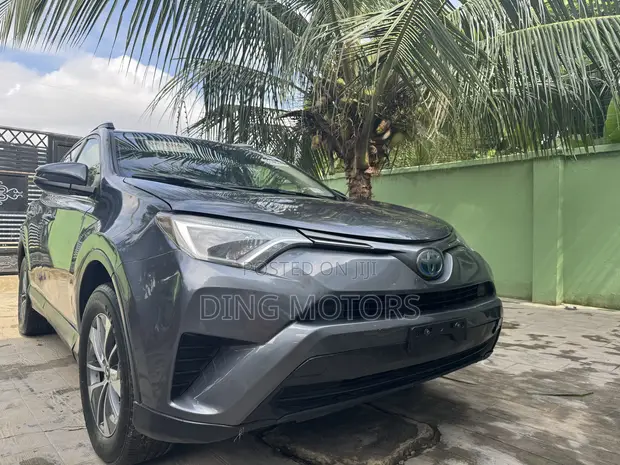 Toyota RAV4 2017 Gray - 1