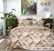 Cotton Luxury King Size Bed Sheet Set (90x100 Inch) - 3