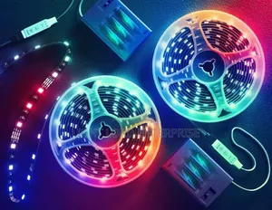 2811 Magic Color 24V Multi-Color LED Strip Light