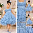Young Girls Applique Elegant Dresses (6 Months - 7 Years) - 2