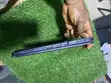 Dell Laptop 8GB RAM, 256GB SSD, Intel Core i3 - 3