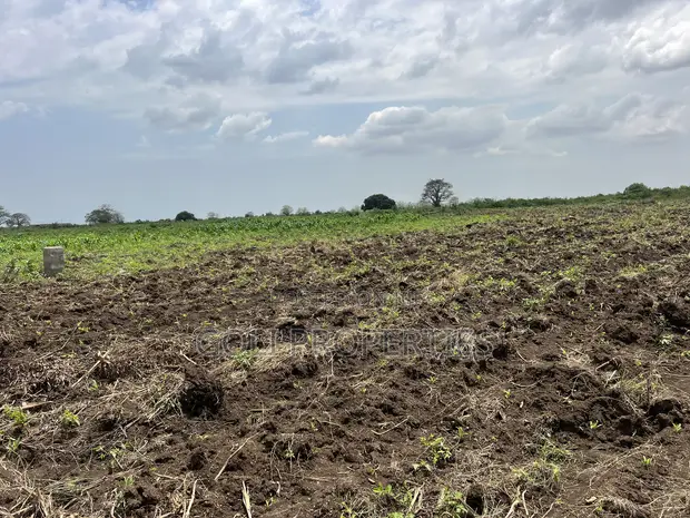 Agricultural Land for Sale at Kasunya - 1