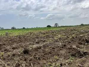 Agricultural Land for Sale at Kasunya