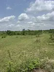 Agricultural Land for Sale at Kasunya - 2