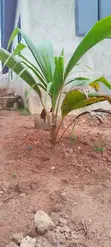 4-Bedroom House for Sale in Atwima Kwanwoma - 2