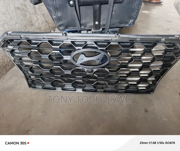 Hyundai Santa Fe Grille (2019-2021) - 1