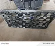 Hyundai Santa Fe Grille (2019-2021) - 1