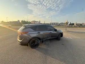 Acura RDX Advance Pkg FWD 2019 Silver