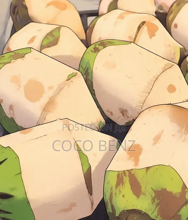 CocoBenz Branded Fresh Coconuts for Events - 1