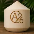 CocoBenz Branded Fresh Coconuts for Events - 3
