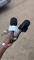 Wireless Microphone Stick for Content Creators - 2