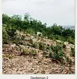 Plot of Land for Sale at Dedeiman - 2