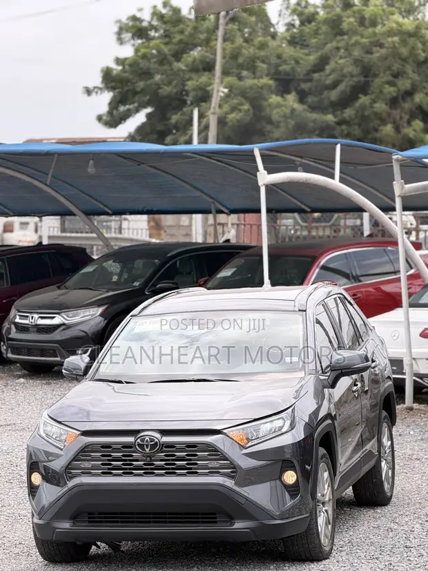 2019 Toyota RAV4 Limited AWD Gray - 1