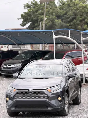 2019 Toyota RAV4 Limited AWD Gray