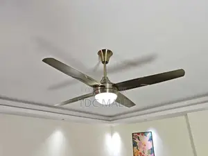 Modern 4-Blade Ceiling Fanlight with Remote