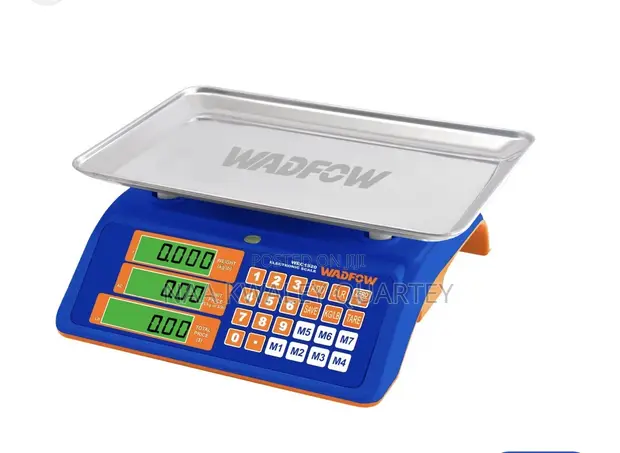 Digital Electronic Scale and Pricing - 40kg Capacity - 1