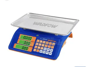 Digital Electronic Scale and Pricing - 40kg Capacity