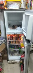 Legacy Refrigerator - Local Used - 2