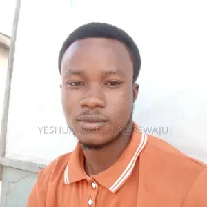 Car Sales Manager CV