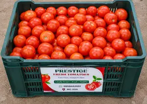 Prestige Fresh Tomatoes
